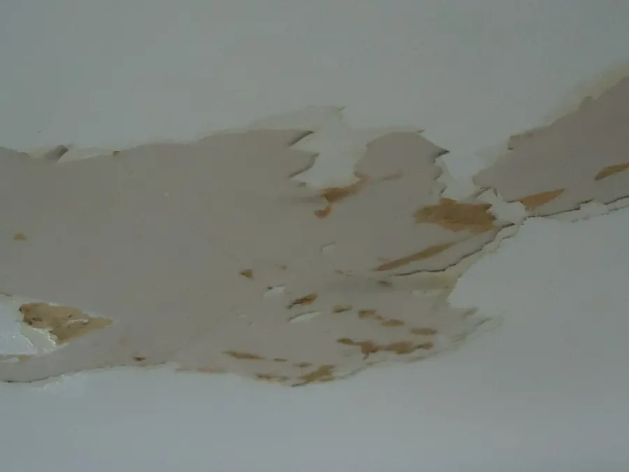 Peeling paint and damaged sheetrock on a ceiling illustrate a water-damage assessment concern